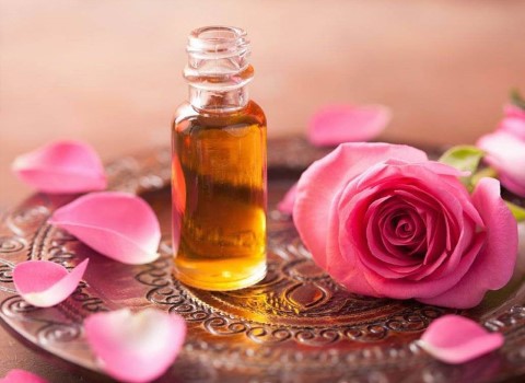تصویر 2 از قیمت خرید گل محمدی خشک + فروش ویژه